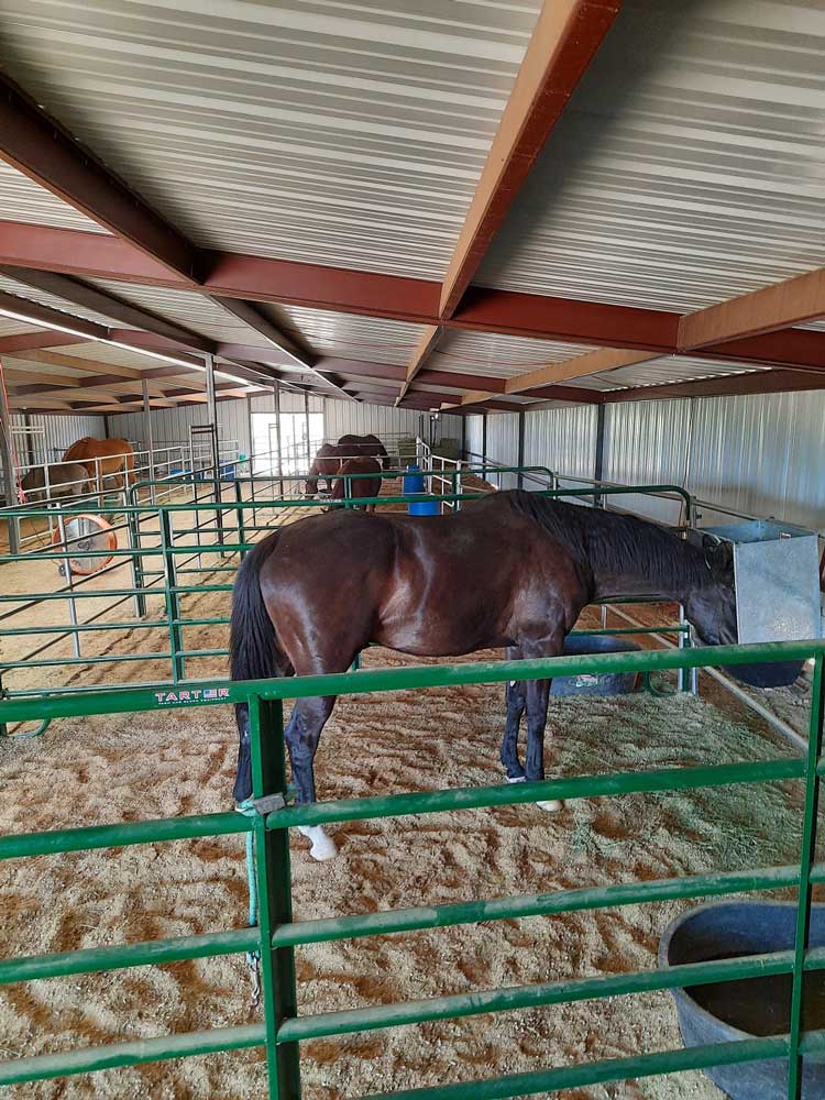 Inside Barn Rght Side